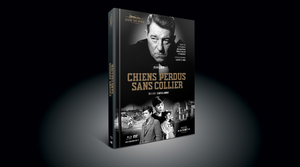 Chiens Perdus Sans Collier