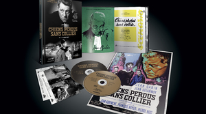 Chiens Perdus Sans Collier