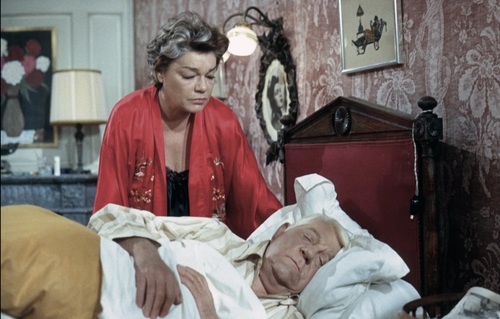 LE CHAT - LA SÉANCE