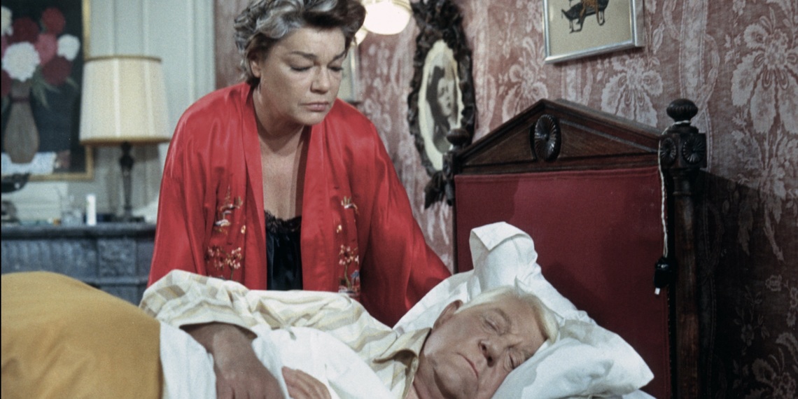 LE CHAT - LA SÉANCE